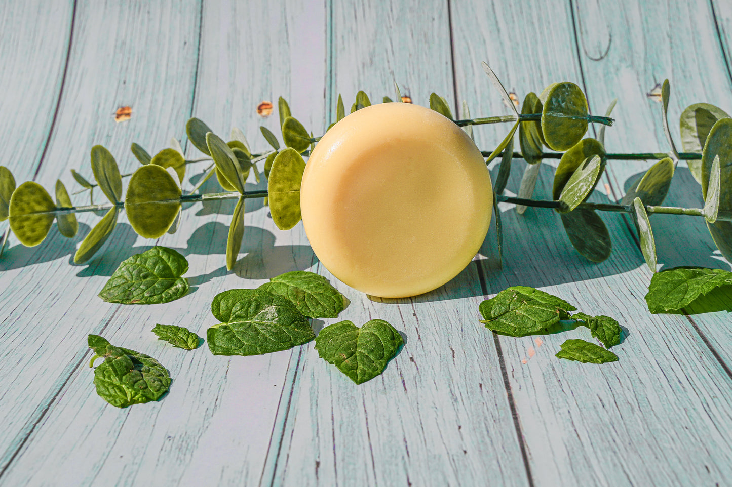 Eucalyptus Mint Conditioner Bar