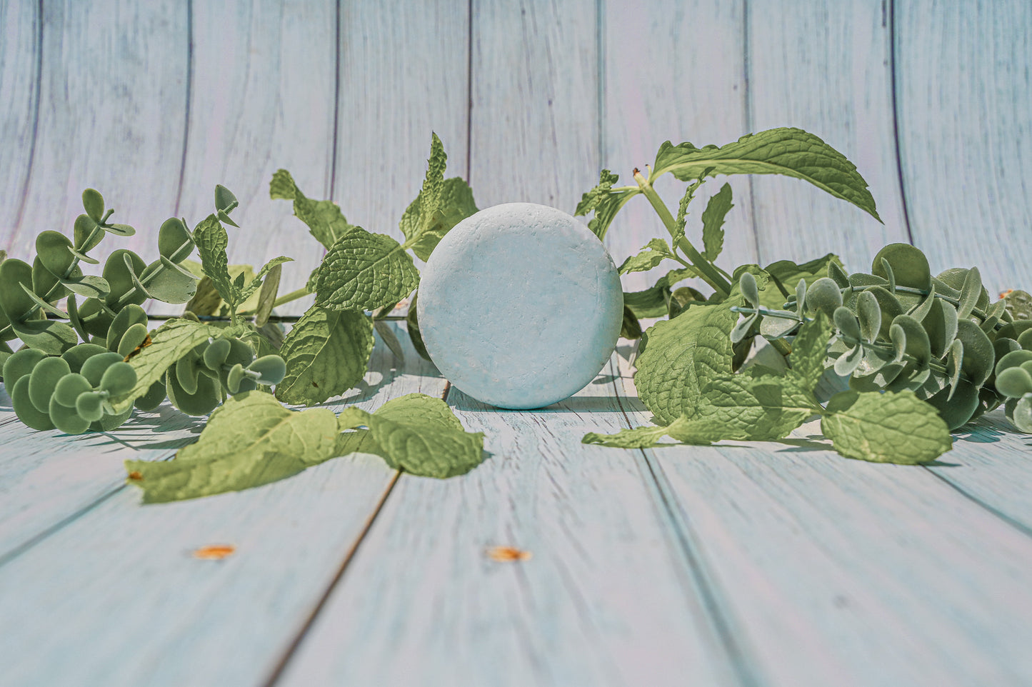 Bug Off Shampoo Bar