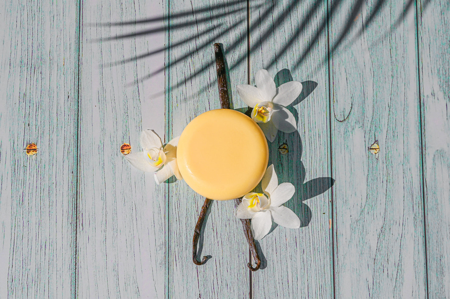 Winter Apple Conditioner Bar